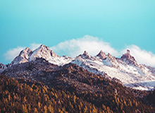 赏金女王模拟器-杭州市体育局：阿根廷国家队3月杭州行取消